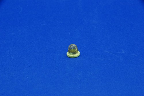 DSC_3498.JPG